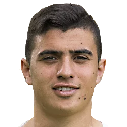 Karim Hafez