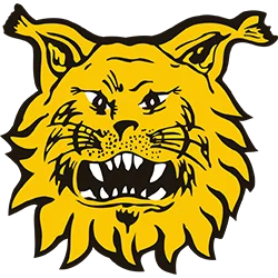 Tampereen Ilves
